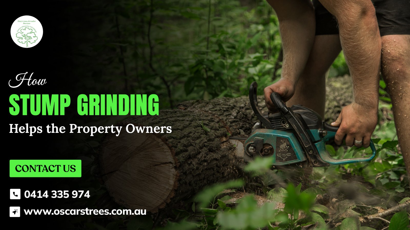 How Stump Grinding in Hendra Helps the Property Owners?