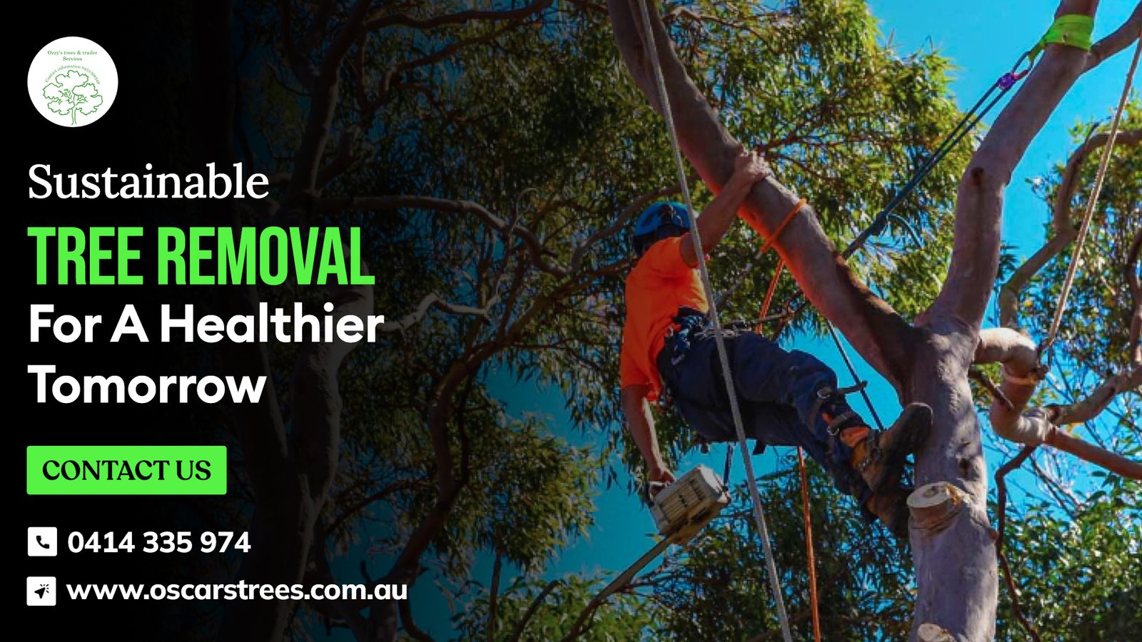 Environmental Benefits Of Safe Tree Removal Practices