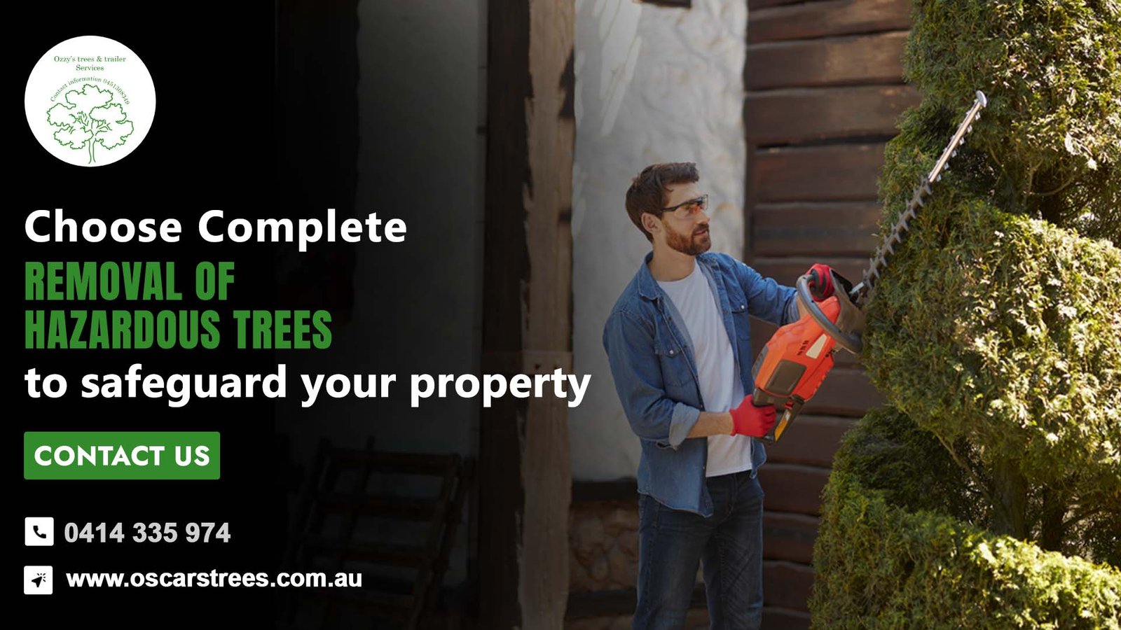 Tree Removal in Chermside: The Best Option for Your Property