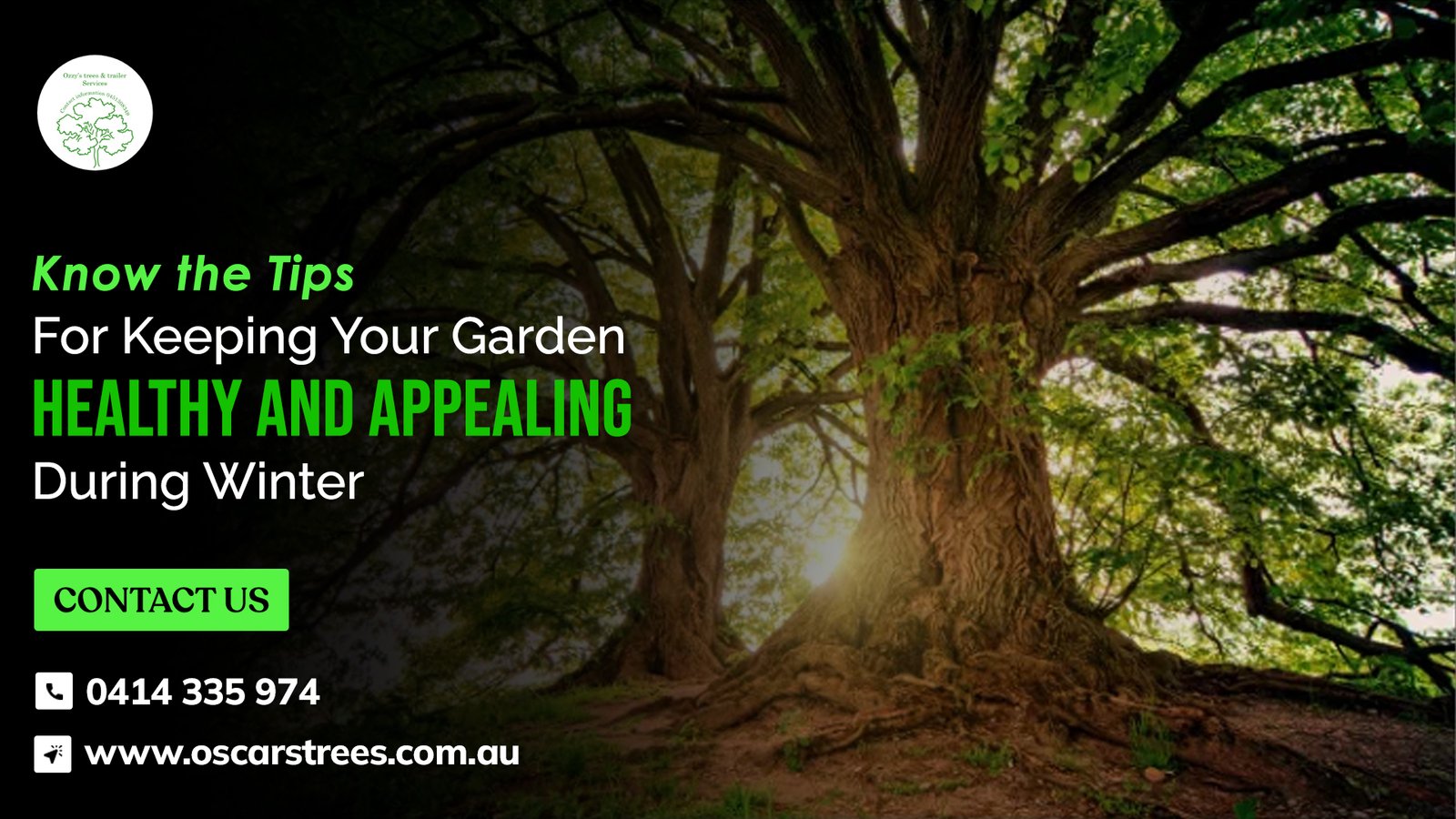 Professional Tips for Winter Garden Maintenance in Chermside
